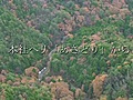 甲賀市信楽町山中の遺体捜索現場