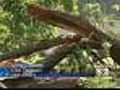 Toppled Trees Litter The Streets Of Old Tappan