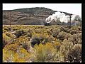 Nevada Northern Railway #40 Sept 11,  2010