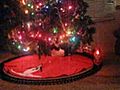 the polar express kitty cat               // video added December 15,  2009            // 0 comments             //                             // Embed video: