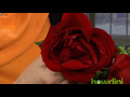 How to force rosebuds to open