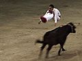 Holy Cow Jumping! France’s Answer to the Bull Fight