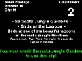 Stock Footage - Sarasota Jungle Gardens - Birds at the Lagoon (2007)