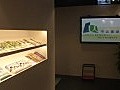 市建局累積盈餘67億　強調並無剝削