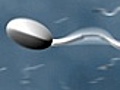 Sex and Intimacy: Sperm Facts