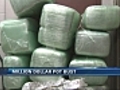 Half-ton pot bust in Abington,  Mass.