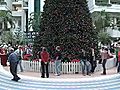 &#039;Flash mob&#039; surprises,  entertains Orlando International Airport travelers