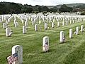 Groundskeeper Waves Flags For Fallen