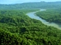 Merveilles de l’Amazone