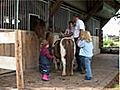 Hofvideo - Kinderbauernhof-Kleber