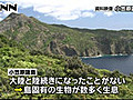 東京・小笠原諸島、世界自然遺産に登録へ