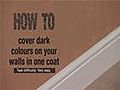 How To Cover Dark Colours On Your Wall In One Coat