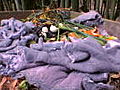 G-Word Online Clips: Lint Compost