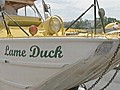 Quack! Quack! Come Along the DC Duck Tour