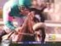 Sports Central Features Zenyatta