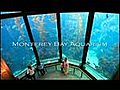 Learn about the Monterey Bay Aquarium