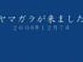 ヤマガラが来ました