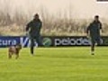 Cachorro é atração no treino da seleção brasileira em Campana,  na Argentina