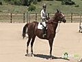 Riding the Olympic Equestrian Jumping Course