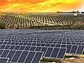 Orchards of the Sun: Solar Power Springs Up