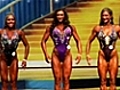 Largest Source of Free Bodybuilding Videos Online!