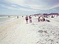 Oil On Florida Beach