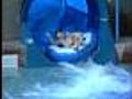 Kids Enjoy Giant Indoor Water Park In Danvers