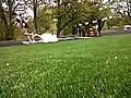 Hurdle Fail