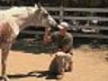 Horse Therapy Helps Wars Veterans