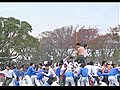 Crazy Japanese Sport