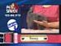 9/7 Pet Saver: Sassy the cat