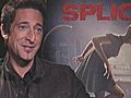 Splice - Exclusive Interviews