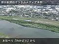 風に舞うジャンボこいのぼり　埼玉・加須