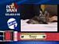 6/8 Pet Saver: Oppy the cat