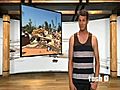 Daniel Tosh vs. Alabama