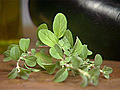 Spotlight on Herbs: Sweet Marjoram