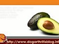 Avocados As a Natural Dog Arthritis Treatment