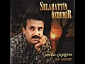 salahattin özdemir - gece olunca