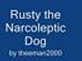 Rusty the Narcoleptic Dog