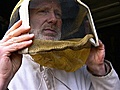 Cooking Up A Story - Beekeeping Basics: Getting Started