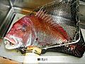 瀬戸内海の美味しい魚（阿じ与志）