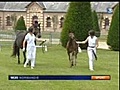 normandie horse show