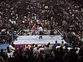 WWF Royal Rumble 1992 PT1
