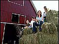 Selecting Quality Hay