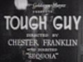 Tough Guy trailer
