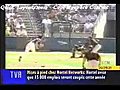 Randy Johnson Pitch Hits Bird