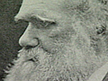 Biography: Charles Darwin - The Shocking Book