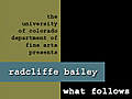 Radcliffe Bailey - Mixed Media Painter