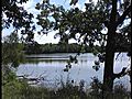 A walk through Crabtree Nature Center Forest Preserve