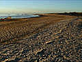 Salton Sea: Drying Up